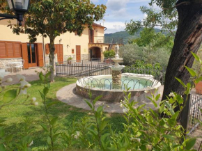 B&B Il Mandorlo Cortona